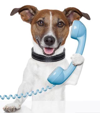 poster cane al telefono a parlare.jpg